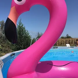 L'alveare Bed & Breakfast Scorzarolo